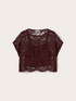 Blouse courte en dentelle image number 4