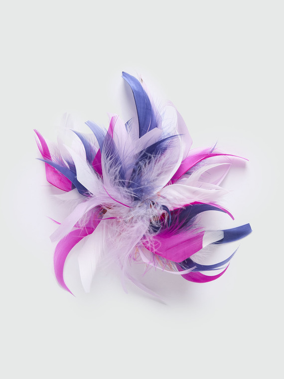 Brooch with multicolor feathers