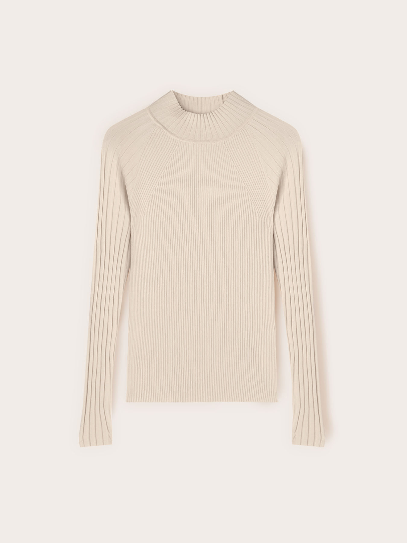 Fitted ribbed turtleneck sweater image number 4